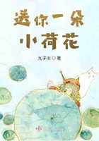 ����һ��С�ɻ�