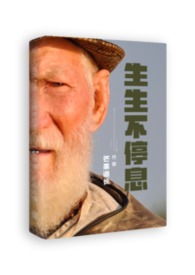 ������ͣϢ